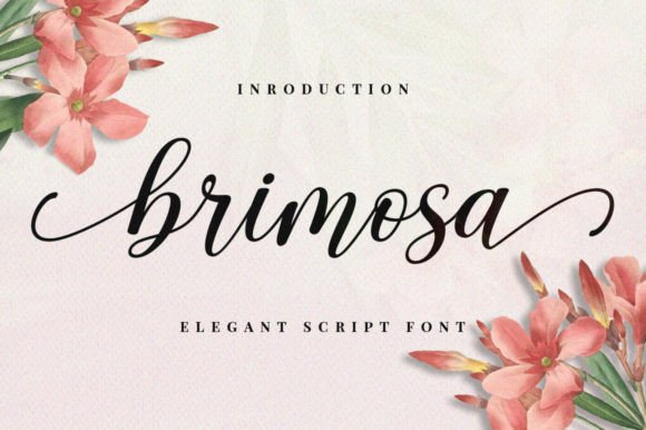 Brimosa Font: Elevating Campaigns with Modern Sophistication