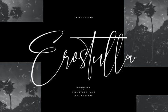 Erostulla Font Review: A Versatile Script for Creative Branding