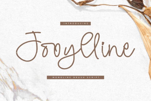 Jooylline Font: A Creative Script Amp for Makers and Designers