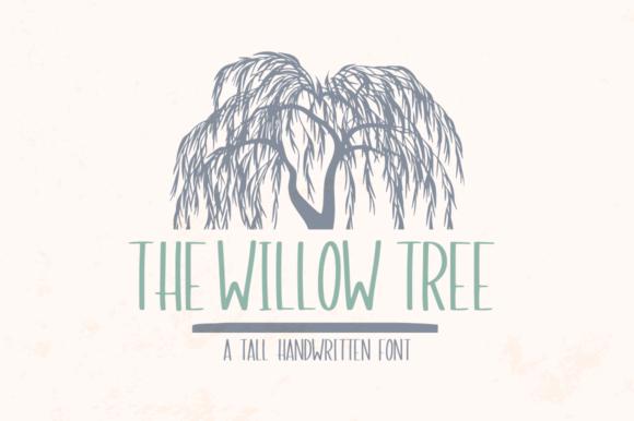 The Willow Tree Font: Elegance and Approachability in Brand Design